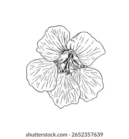 Contorno intrincado de um design de flor incrivelmente bonito que cativou o olho e o coração
