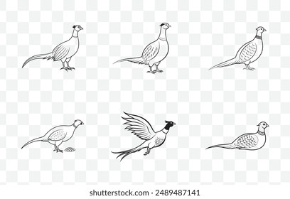 Intricate Pheasant Line Art Vector Set for Detailed and Artistic Illustrations