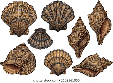 Intricate Seashell natureza ainda rendição artística Ornamental Shell Collection Ocean Inspired arte Detalhada Shell ilustrações
