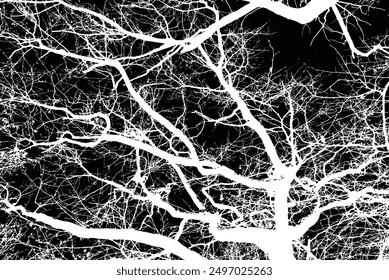 Intricate Silhouette of Tree Branches Artistically Designed Against a Dark Background