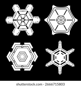 Intricate Snowflake Vector Set in White on Black Background