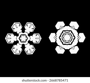 Intricate Snowflake Vector Set in White on Black Background