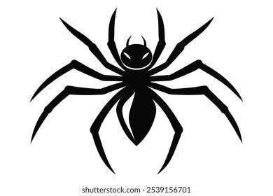 Intricate Spider Illustrations for Printable Graphic Designs