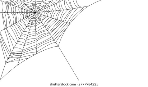 Intricate spider web illustration stretching across the corner of the frame on a white background for spooky holiday decor.