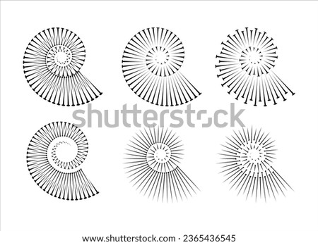 An intricate spiral logo inspired by the Nautilus Shell, featuring a fractal art design with golden ratio line art. Presented as a vector illustration.
