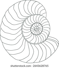 Intricate spiral seashell line art design, perfect for ocean-themed marine illustrations, nautical branding, and minimalist coastal artwork for creative and commercial use.