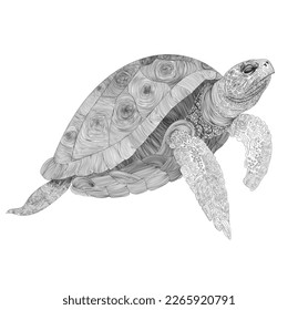 Intricate Vector Illustration of a Sea Turtle – Hand-Drawn Detailed Ocean Wildlife Design, Perfect for Posters, Prints, Coloring Books, and Nature-Inspired Projects