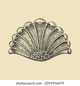 Intricate vintage engraving of a decorative seashell fan motif. Ideal for antique patterns, classical design, and historical elements.