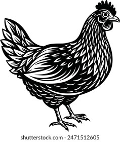 Intricately detailed line art of a chicken, ideal for use in print and digital media