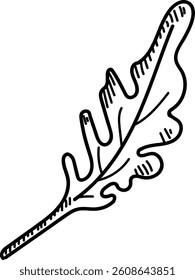 An intricately drawn oak leaf with bold lines in a minimalist style. The leaf's contours and textures are captured with precision and simplicity. Cartoon vector illustration.