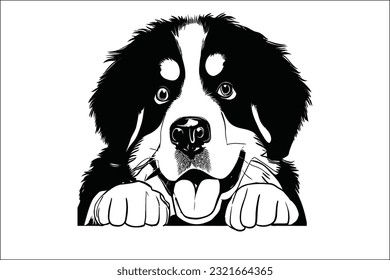 Introducing the Bernese Mountain Dog, a remarkable canine companion. With its striking appearance and gentle temperament, this beloved breed captures hearts effortlessly. 