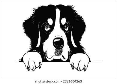 Introducing the Bernese Mountain Dog, a stunning and lovable breed. With its captivating presence and gentle demeanor, this remarkable dog becomes an instant favorite.