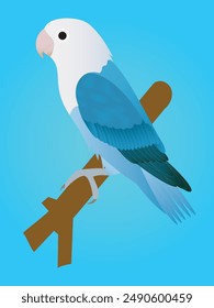 Introducing the Blue Quaker Parrot Vector, a stunning avian companion that will add a touch of elegance to any space.