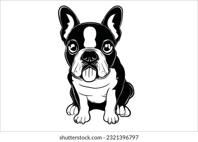 Introducing the charming Boston Terrier, a delightful companion with a playful spirit. This beloved dog breed captivates hearts with its expressive eyes and adorable appearance. 