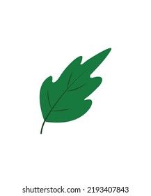 Introducing our green Leaf icon.