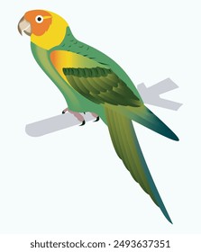  Presentamos el Vector Psittacus eximius, un impresionante loro que cautivará sus sentidos con su vibrante plumaje verde y amarillo. Este magnífico pájaro está representado en la Imagen. 