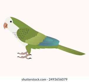 Introducing the Quaker-Parrot Clipart, a vibrant and eye-catching addition to your design projects