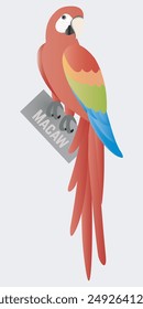 Introducing the vibrant Macaw, a stunning red parrot adorned with a unique sign on its beak. This eye-catching bird is sure to captivate with its brilliant plumage and distinctive feature.