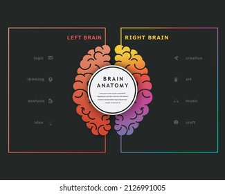 Introduction of 3D Information Elements and Brain parts