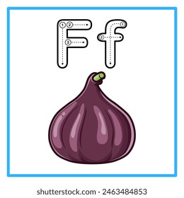 Introduction to the alphabet with examples. F is for fig fruit. Suitable for children's practice and great for toddlers' flash cards