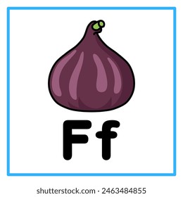 Introduction to the alphabet with examples. F is for fig fruit. Suitable for children's practice and great for toddlers' flash cards