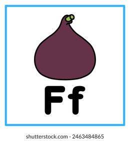 Introduction to the alphabet with examples. F is for fig fruit. Suitable for children's practice and great for toddlers' flash cards