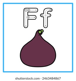 Introduction to the alphabet with examples. F is for fig fruit. Suitable for children's practice and great for toddlers' flash cards