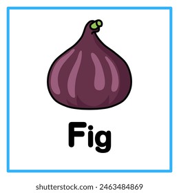 Introduction to the alphabet with examples. F is for fig fruit. Suitable for children's practice and great for toddlers' flash cards