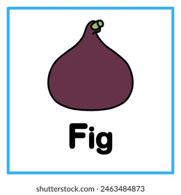 Introduction to the alphabet with examples. F is for fig fruit. Suitable for children's practice and great for toddlers' flash cards