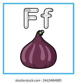 Introduction to the alphabet with examples. F is for fig fruit. Suitable for children's practice and great for toddlers' flash cards