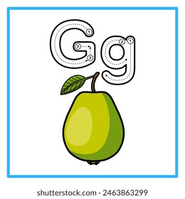 Introduction to the alphabet with examples. G is for guava. Suitable for children's practice and great for toddlers' flash cards