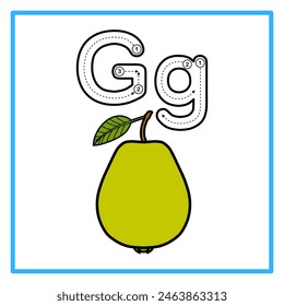 Introduction to the alphabet with examples. G is for guava. Suitable for children's practice and great for toddlers' flash cards