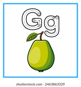 Introducción al alfabeto con ejemplos. G es para guayaba. Conveniente para la práctica de los niños y grande para las tarjetas del flash de los niños pequeños