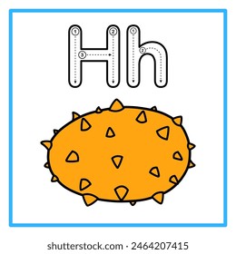 Introduction to the alphabet with examples. H is for horned melon. Suitable for children's practice and great for toddlers' flash cards