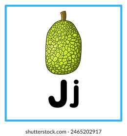 Introduction to the alphabet with examples. J is for jack fruit. Suitable for children's practice and great for toddlers' flash cards