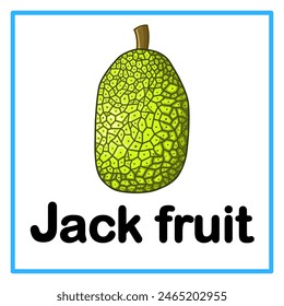 Introduction to the alphabet with examples. J is for jack fruit. Suitable for children's practice and great for toddlers' flash cards