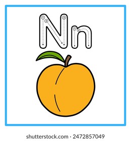 Introduction to the alphabet with examples. N is for nectarine. Suitable for children's practice and great for toddlers' flash cards