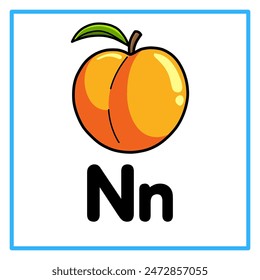 Introduction to the alphabet with examples. N is for nectarine. Suitable for children's practice and great for toddlers' flash cards