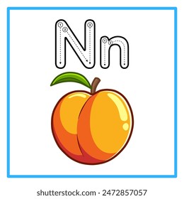 Introduction to the alphabet with examples. N is for nectarine. Suitable for children's practice and great for toddlers' flash cards