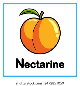 Introduction to the alphabet with examples. N is for nectarine. Suitable for children's practice and great for toddlers' flash cards