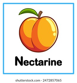 Introduction to the alphabet with examples. N is for nectarine. Suitable for children's practice and great for toddlers' flash cards