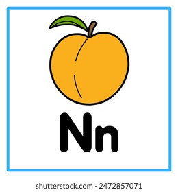 Introduction to the alphabet with examples. N is for nectarine. Suitable for children's practice and great for toddlers' flash cards