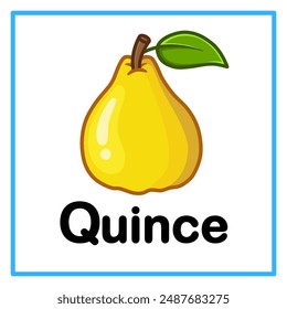 Introduction to the alphabet with examples. Q is for quince. Suitable for children's practice and great for toddlers' flash cards