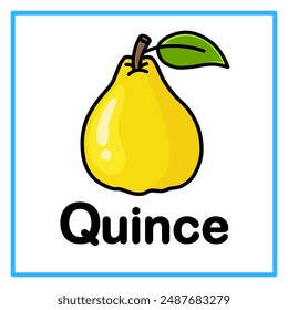 Introduction to the alphabet with examples. Q is for quince. Suitable for children's practice and great for toddlers' flash cards