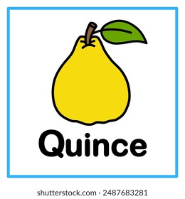 Introduction to the alphabet with examples. Q is for quince. Suitable for children's practice and great for toddlers' flash cards