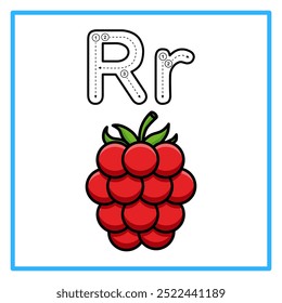 Introduction to the alphabet with examples. R is for raspberry. Suitable for children's practice and great for toddlers' flash cards