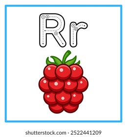 Introduction to the alphabet with examples. R is for raspberry. Suitable for children's practice and great for toddlers' flash cards