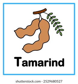 Introduction to the alphabet with examples. T is for tamarind. Suitable for children's practice and great for toddlers' flash cards