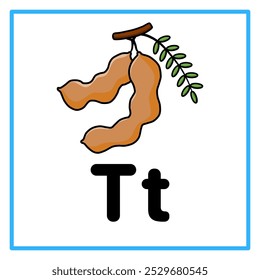 Introduction to the alphabet with examples. T is for tamarind. Suitable for children's practice and great for toddlers' flash cards