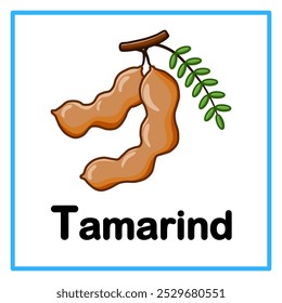 Introduction to the alphabet with examples. T is for tamarind. Suitable for children's practice and great for toddlers' flash cards